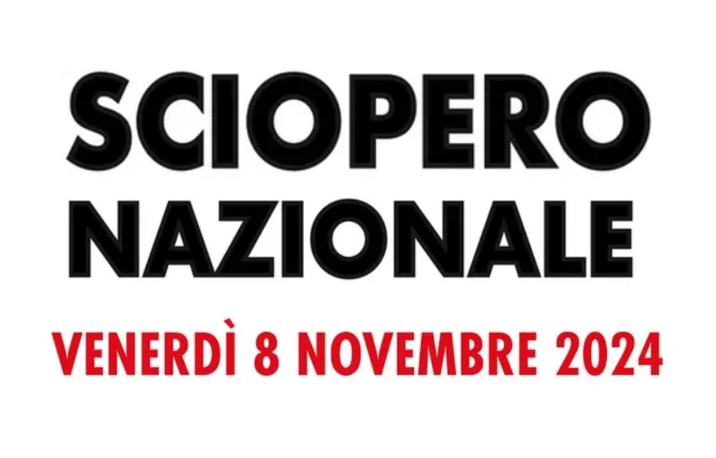 Sciopero nazionale 8 novembre 2024.